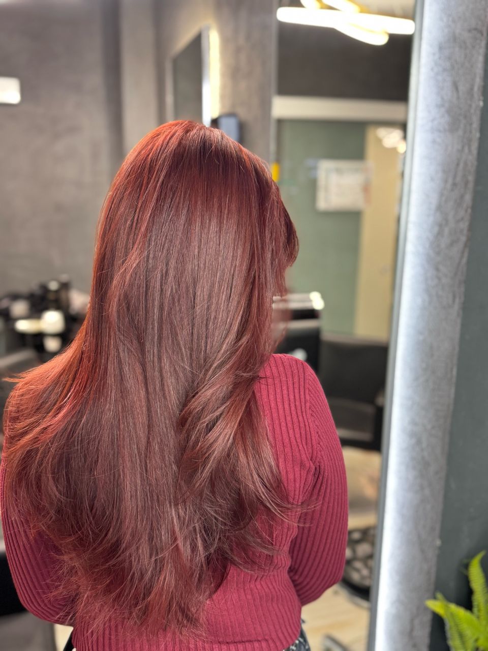 Pachet Vopsit - par lung made by Alex   - from Stailer