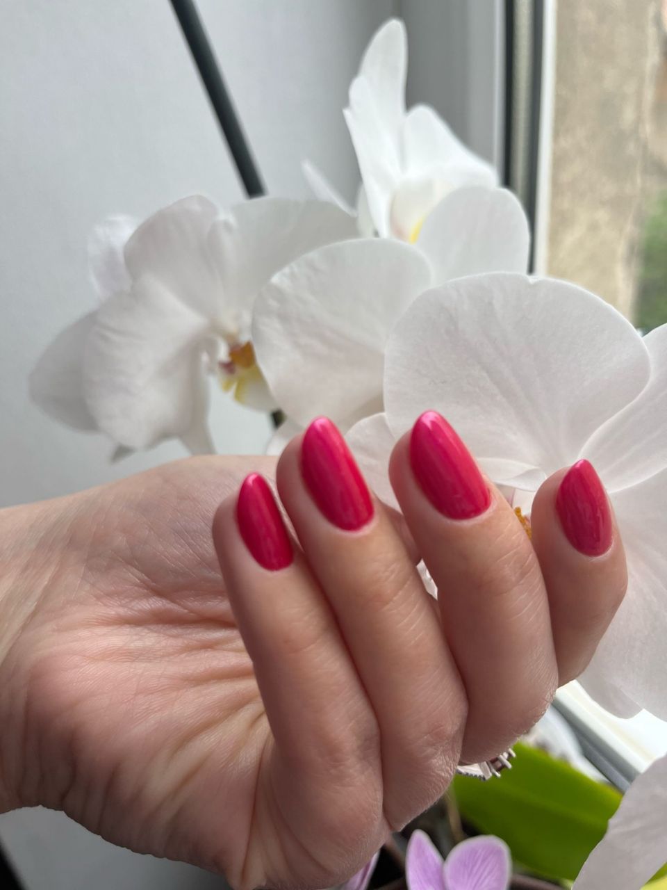 Manichiura cu oja semipermanenta made by Alexandra Muntean - from Stailer Manichiura cu oja semipermanenta made by Alexandra Muntean - from Stailer