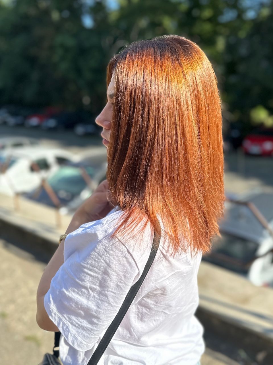 Decolorare si Vopsire par made by Nicoleta Sofian  - from Stailer