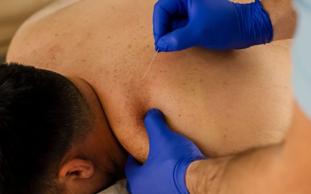 Therapist - Alexandru Stefan  Therapist - Alexandru Stefan